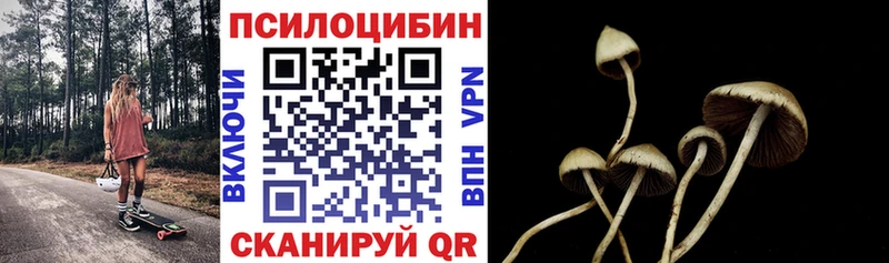 Псилоцибиновые грибы Psilocybine cubensis  Балахна 